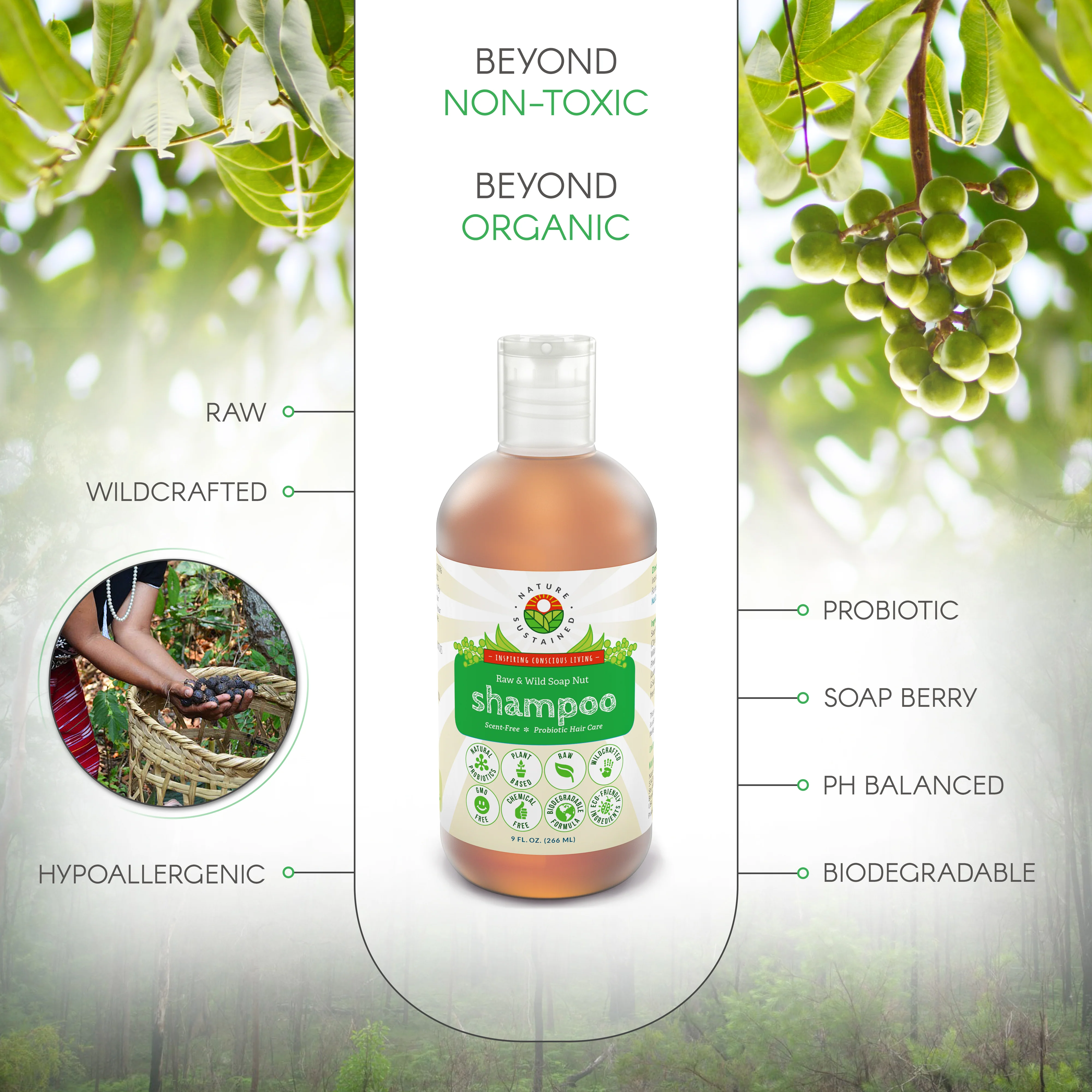 Natural Soapnut Shampoo - Organic, Raw, Probiotic, Vegan - 9 fl oz - Image 3
